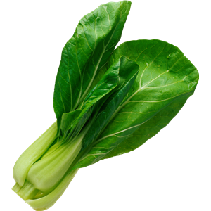 Spinach PNG-79142